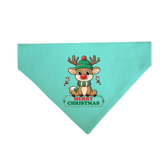 Merry Christmas Reindeer Boy