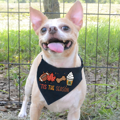 Small dog wearing a black bandana with festive designs and text, sitting outdoors.
