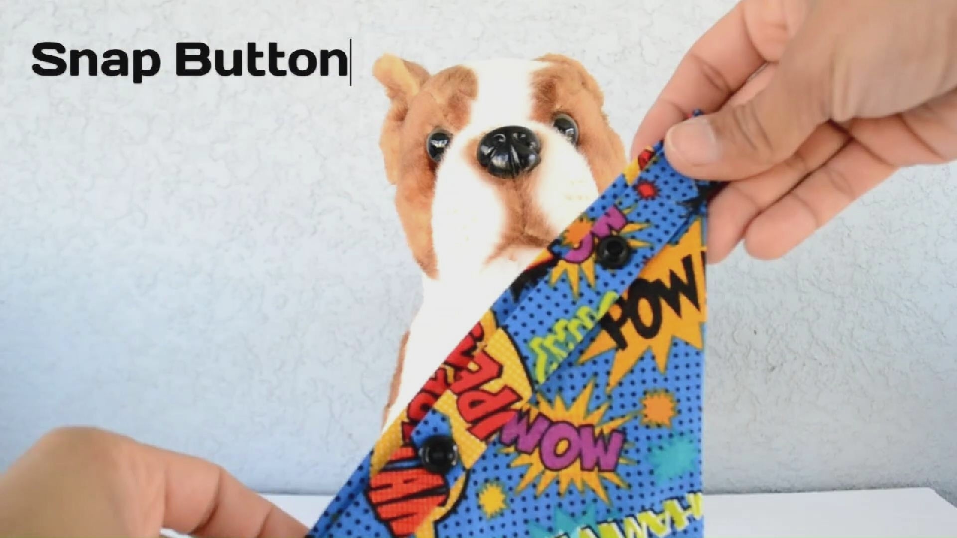 video demonstrating how to put snap button bandana on a dog. Dog in video is a stuffed brown and white toy dog