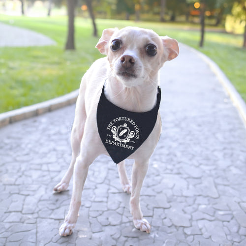 Chihuahua wearing a black bandana. Design 