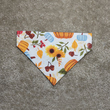 Load image into Gallery viewer, Fall Harvest Bandana
