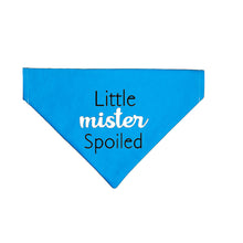 Load image into Gallery viewer, Little Mister Spoiled
